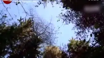 秋风秋雨