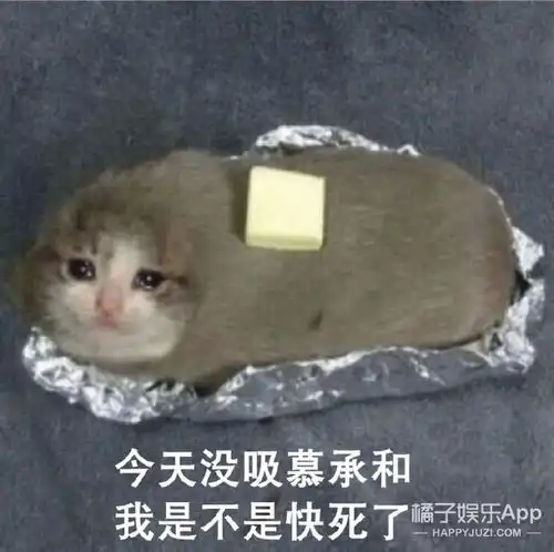慕承和给你妈打电话了,快接