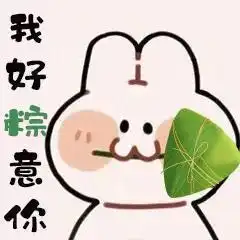 我粽意你表情包