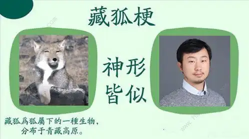 无穷小亮的科普日常是谁抖音无穷小亮藏狐表情包及梗介绍