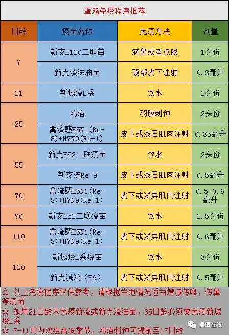 这样养鸡,收益翻倍