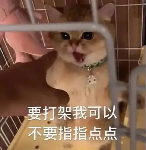 添可洗地机,一个被夸大无数倍的鸡肋国货之光