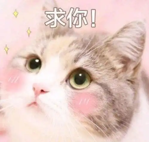 困的表情包图片可爱