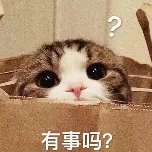 好端端的演员朱亚文,非要挤出一个人设吗