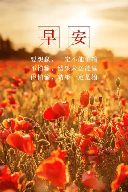 不说话,不一定没有感觉,不要求,不一定没有心声,早安