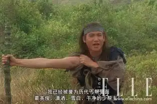 测试一个超长简介的文章
