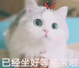 有哪些特别萌的表情包