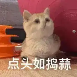 愁花大价钱买的学区房,十几年来学校连个影都没有