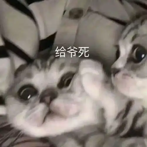 表情包图片我有个朋友托我问你,需要我这样的男朋友吗