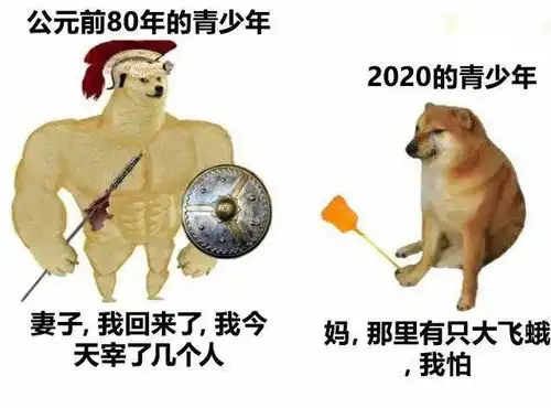 肌肉doge与小废狗梗图