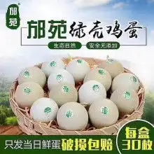 大华亭湖养鸡农场
