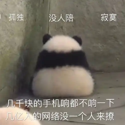 斗图表情包合集姐姐在干嘛