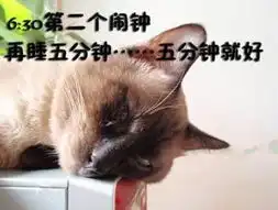 猫咪搞笑演绎上班族一天好欢乐