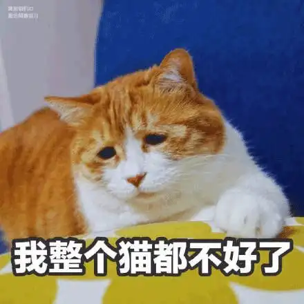 为什么经常脸部浮肿,是跟你的这个习惯有关