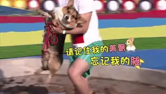 小猪快跑节目的个人频道