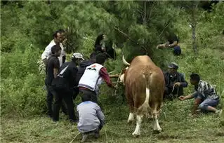 昆明东川区阿旺镇鲁纳村喜庆第三个立秋节