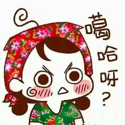 韩国济州岛爆发中国内战南京人干趴了东北人
