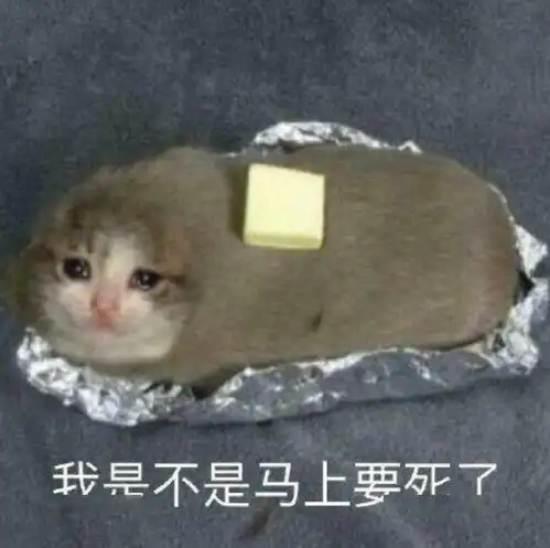 测试一个超长简介的文章