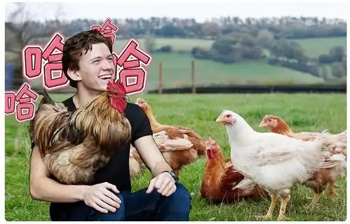 漫威英雄无戏可拍居然在农场养鸡
