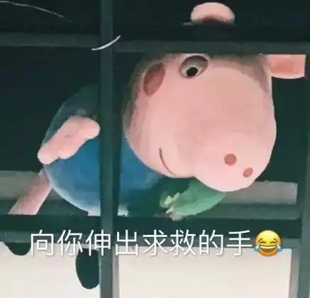 明星争当社会人,都开始蹭猪的热度了