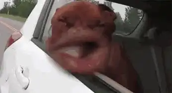 如何做出一只让人不上火的燚燚辣鸡