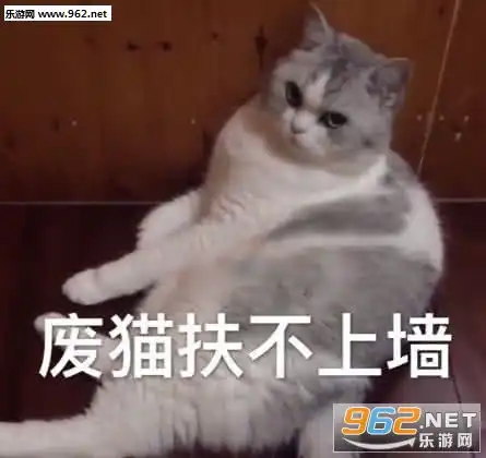 表情请问挂什么科图片妈妈扎紧点漂亮表情包图片下载乐游网游戏下载表情