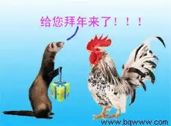 测试一个超长简介的文章