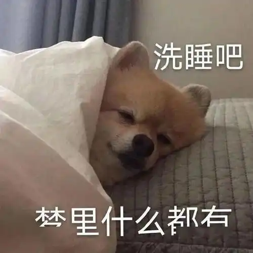 高中生学习专用表情包,是学霸就进来收图