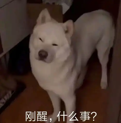 宝,你泡我还是我泡你