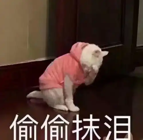 刚出生,肠子肝脏就挂在肚皮外这病偏爱男宝宝