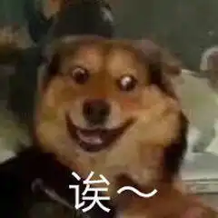 微信历史性更新新功能可以免费听vip音乐了