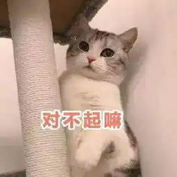 那些哄女朋友的表情包