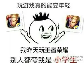 王者荣耀坑队友表情包