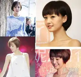 前任都是过不去的坎重生张馨予短发再撞范爷