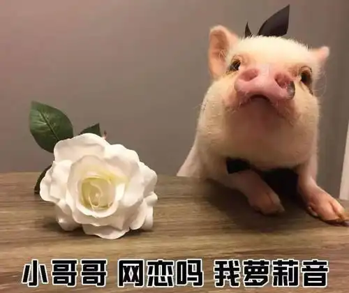 超强变声器小哥哥网恋吗我萝莉音
