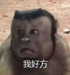 我的妈这个猴子身体里仿佛住着个国字脸大叔的灵魂