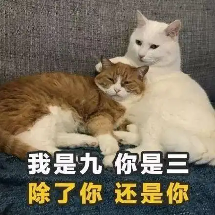 喵味情话表情包被你赞过的朋友圈,叫甜甜圈