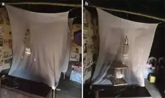 超搞笑床头放只鸡就能防蚊子你在逗我吗