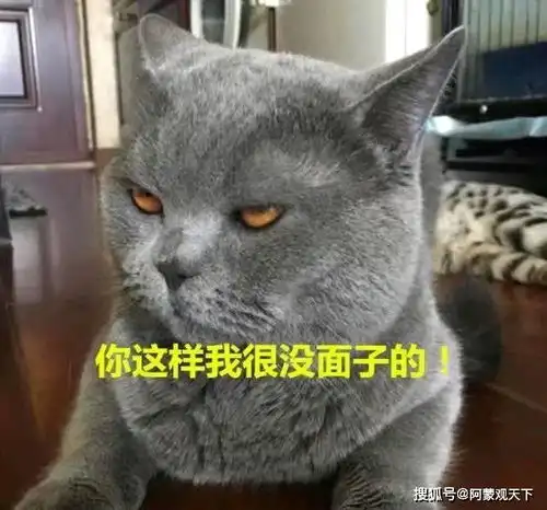 搞笑段子他看你的眼神充满了渴望