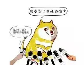 致作为单身汪的你