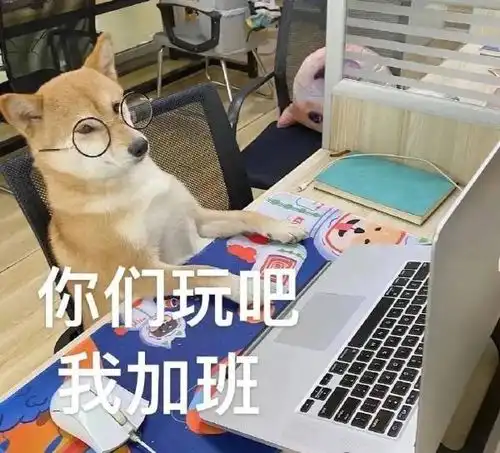 轻松一刻现在的车也太脆了,让二踢脚崩的稀碎