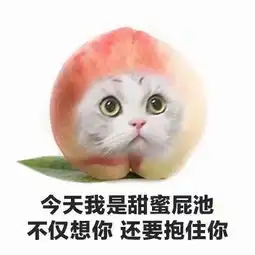 求表情包一系列的