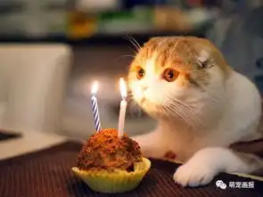 面对生日蛋糕和蜡烛,过生日的猫猫狗狗们反应好搞笑