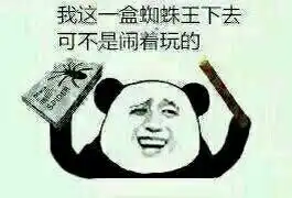 测试一个超长简介的文章