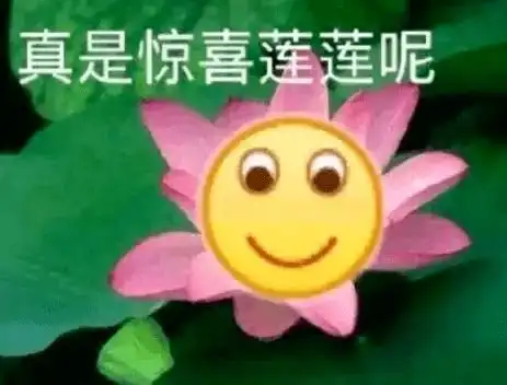 猛降14诸暨大降温,最低仅...
