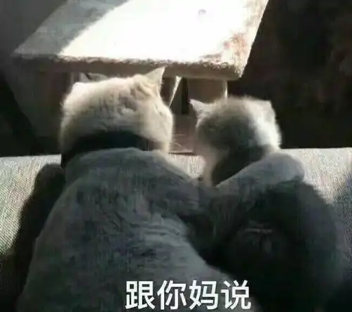 开心一刻笑话和男朋友吃饭,他一直给我夹肉