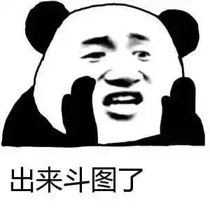 表情包聊天必备沙雕表情包