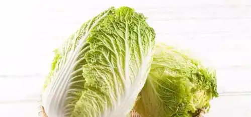 白菜虽然营养丰富,但医生奉劝,千万不能和这3种食物同吃