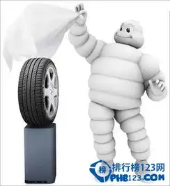 2015年全球十大轮胎品牌排行米其林居然排第二