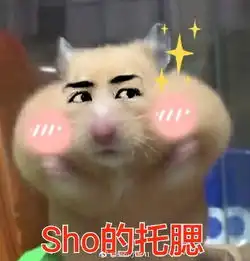 仓鼠托腮表情包